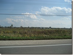 On highway 7 to Toronto