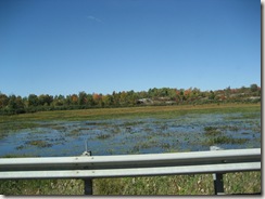 On highway 7 to Toronto